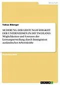 E-Book (pdf) SICHERUNG DER LEISTUNGSFÄHIGKEIT DER UNTERNEHMEN IN DEUTSCHLAND: Möglichkeiten und Grenzen der Leistungserstellung durch Immigration ausländischer Arbeitskräfte von Tobias Biberger