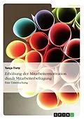 E-Book (epub) Untersuchungen zur Erhöhung der Mitarbeitermotivation unter besonderer Anwendung des Instrumentes der Mitarbeiterbefragung von Tanja Tietz
