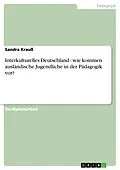 E-Book (epub) Interkulturelles Deutschland - wie kommen ausländische Jugendliche in der Pädagogik vor? von Sandra Krauß