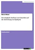E-Book (epub) Der mögliche Einfluss von Gliazellen auf die Entstehung von Epilepsie von Marcel Maier