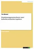 E-Book (epub) Projektmanagementsoftware unter kulturtheorethischen Aspekten von Tim Wenzel
