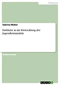 E-Book (epub) Einblicke in die Entwicklung der Jugendkriminalität von Sabrina Weber
