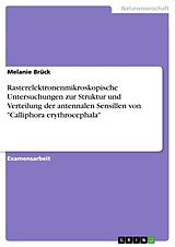 E-Book (pdf) Rasterelektronenmikroskopische Untersuchungen zur Struktur und Verteilung der antennalen Sensillen von "Calliphora erythrocephala" von Melanie Brück