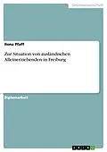 E-Book (epub) Zur Situation von ausländischen Alleinerziehenden in Freiburg von Ilona Pfaff