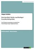 E-Book (pdf) Intermediäre Kräfte nachhaltiger Gesellschaftspolitik von Jürgen Schäfer