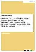 E-Book (pdf) Erstellung eines Gutachtens am Beispiel von Lars' Surfladen auf Sylt unter besonderer Berücksichtigung des Electronic-Commerce sowie ausgewählter Marketingstrategien von Sebastian Meyer