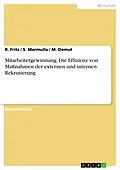 E-Book (pdf) Die Effizienz von Maßnahmen der externen Mitarbeitergewinnung im Vergleich zur internen Rekrutierung von R. Fritz, S. Marmulla, M. Demut