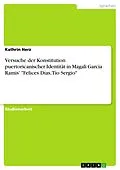 E-Book (epub) Versuche der Konstitution puertoricanischer Identität in Magali Garcia Ramis' "Felices Días, Tío Sergio" von Kathrin Herz
