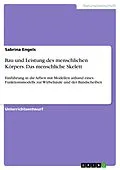 E-Book (epub) Unterrichtseinheit: Bau und Leistung des menschlichen Körpers - Das menschliche Skelett von Sabrina Engels