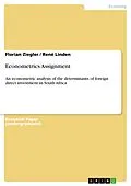 E-Book (pdf) Econometrics Assignment von Florian Ziegler, René Linden