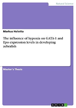 E-Book (pdf) The influence of hypoxia on GATA-1 and Epo expression levels in developing zebrafish von Markus Holotta