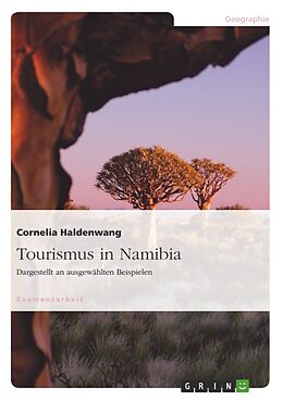 Kartonierter Einband Tourismus in Namibia von Cornelia Haldenwang