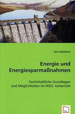 Kartonierter Einband Energie und Energiesparmassnahmen von Lilia Kalbfleisch