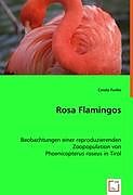 Kartonierter Einband Rosa Flamingos von Carola Funke