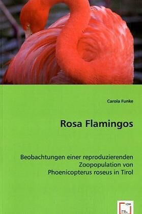 Rosa Flamingos