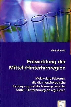 Entwicklung der Mittel-/Hinterhirnregion