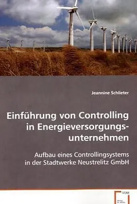 Einführung von Controlling in Energieversorgungs-unternehmen