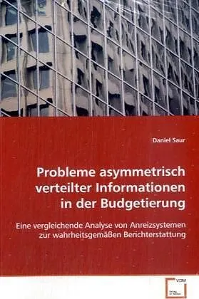 Probleme asymmetrisch verteilter Informationen in der Budgetierung