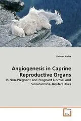 Kartonierter Einband (Kt) Angiogenesis in Caprine Reproductive Organs von Shireen Hafez