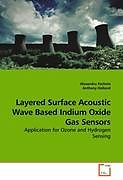 Kartonierter Einband Layered Surface Acoustic Wave Based Indium Oxide Gas Sensors von Alexandru Fechete, Anthony Holland