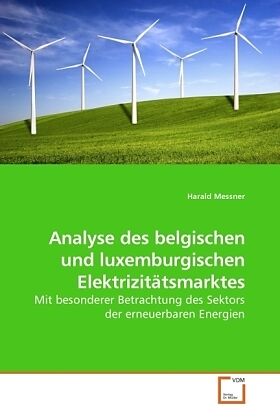 Analyse des belgischen und luxemburgischen Elektrizitätsmarktes