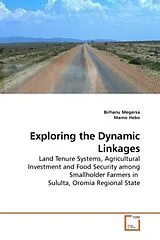 Kartonierter Einband (Kt) Exploring the Dynamic Linkages von Birhanu Megersa, Mamo Hebo