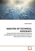 Kartonierter Einband Analysis of Technical Efficiency von KaleAb Kebede