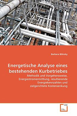 Kartonierter Einband Energetische Analyse eines bestehenden Kurbetriebes von Barbara Bilinsky