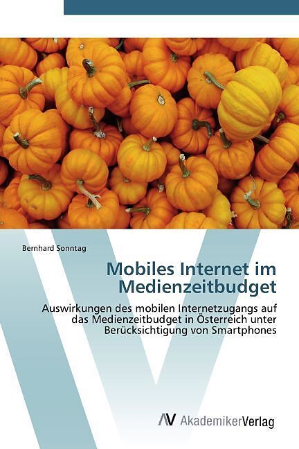 Mobiles Internet im Medienzeitbudget