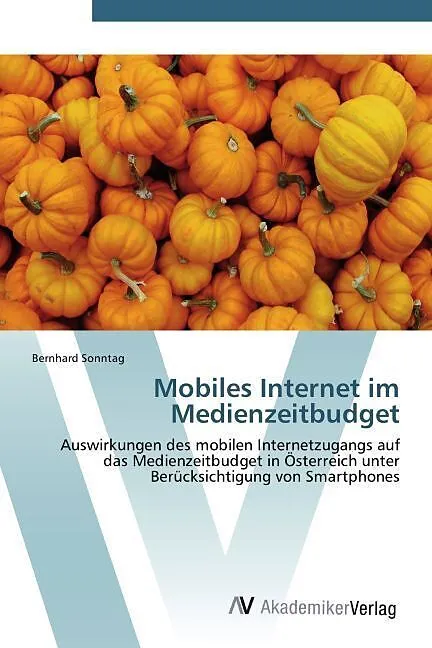 Mobiles Internet im Medienzeitbudget
