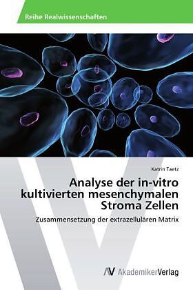 Analyse der in-vitro kultivierten mesenchymalen Stroma Zellen