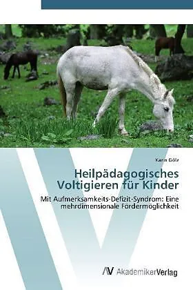 Heilpädagogisches Voltigieren für Kinder