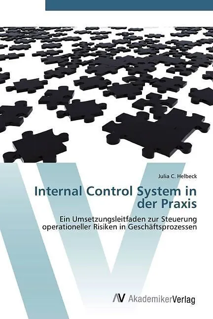Internal Control System in der Praxis