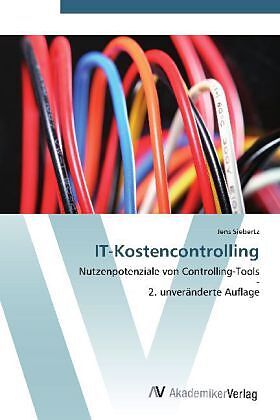 IT-Kostencontrolling