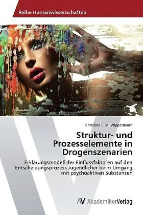 Struktur- und Prozesselemente in Drogenszenarien