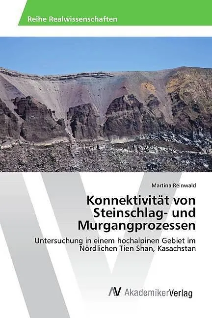 Konnektivität von Steinschlag- und Murgangprozessen