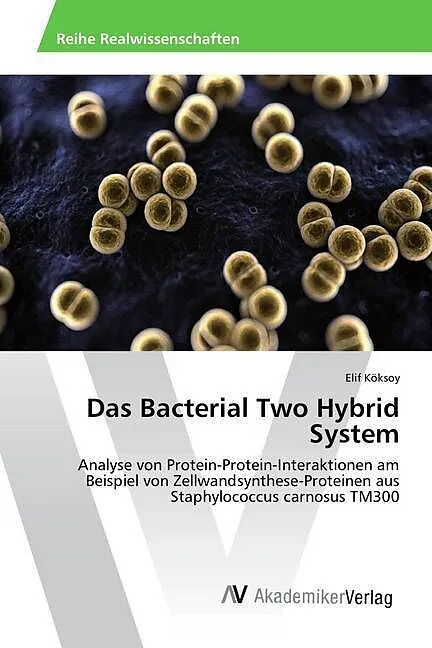 Das Bacterial Two Hybrid System