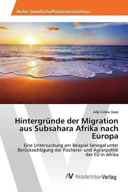 Hintergründe der Migration aus Subsahara Afrika nach Europa