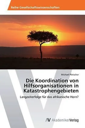Die Koordination von Hilfsorganisationen in Katastrophengebieten