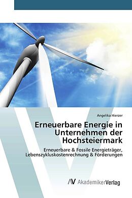 Kartonierter Einband Erneuerbare Energie in Unternehmen der Hochsteiermark von Angelika Hierzer