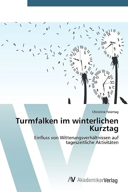 Turmfalken im winterlichen Kurztag