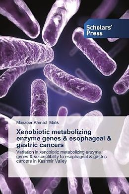Kartonierter Einband Xenobiotic metabolizing enzyme genes & esophageal & gastric cancers von Manzoor Ahmad Malik