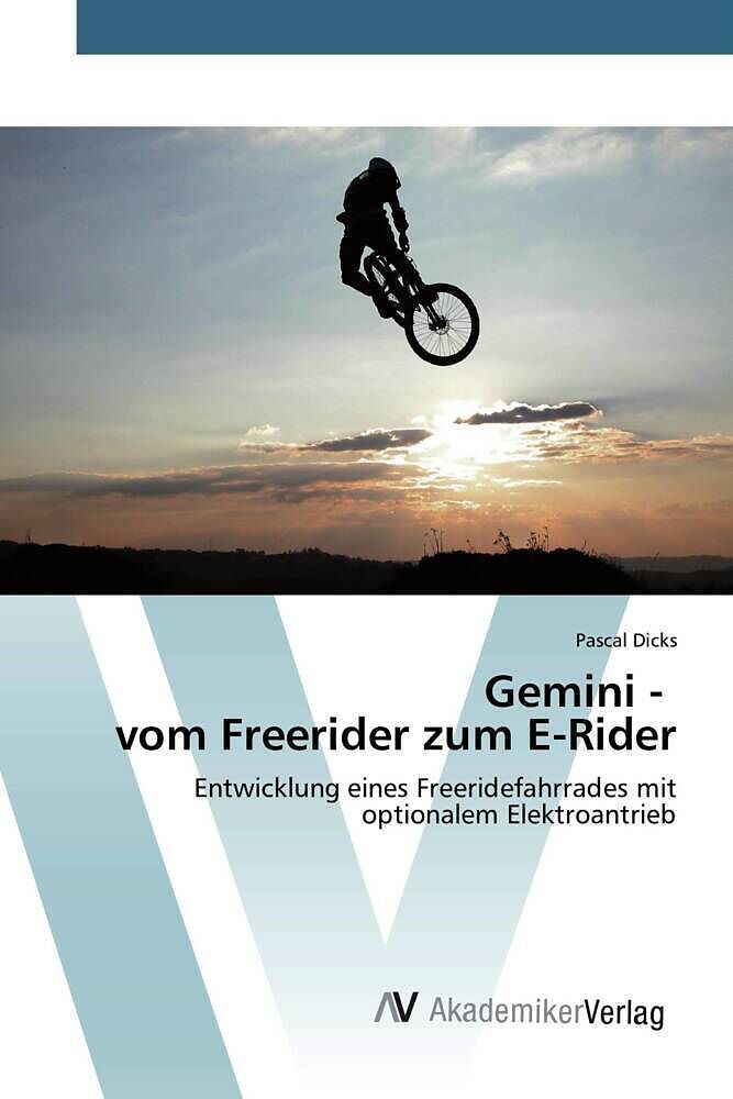 Gemini - vom Freerider zum E-Rider