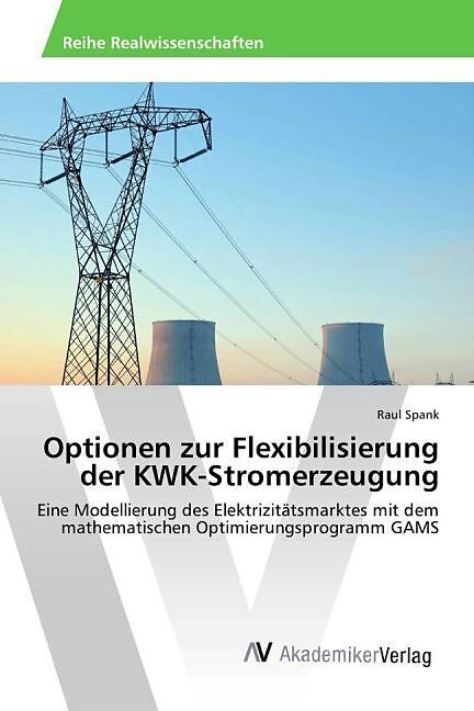 Optionen zur Flexibilisierung der KWK-Stromerzeugung