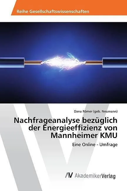 Nachfrageanalyse bezüglich der Energieeffizienz von Mannheimer KMU
