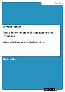 E-Book (epub) Bunte Scherben im elektromagnetischen Irrenhaus von Cornelia Richter