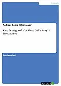 E-Book (pdf) Kate Drumgoold's "A Slave Girl's Story" - Eine Analyse von Andreas Georg Hilzensauer