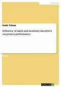 E-Book (pdf) Influence of salary and monetary incentives on project performance von Kadir Yilmaz
