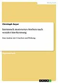 E-Book (epub) Intrinsisch motiviertes Streben nach sozialer Anerkennung von Christoph Geyer