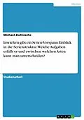 E-Book (pdf) Inwiefern gibt ein Serien-Vorspann Einblick in die Serienstruktur. Welche Aufgaben erfüllt er und zwischen welchen Arten kann man unterscheiden? von Michael Zschiesche